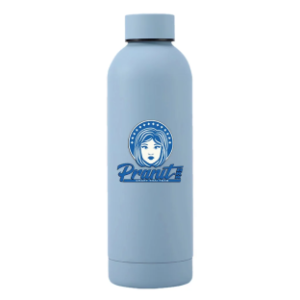 Pranit 500ml Tea Flask